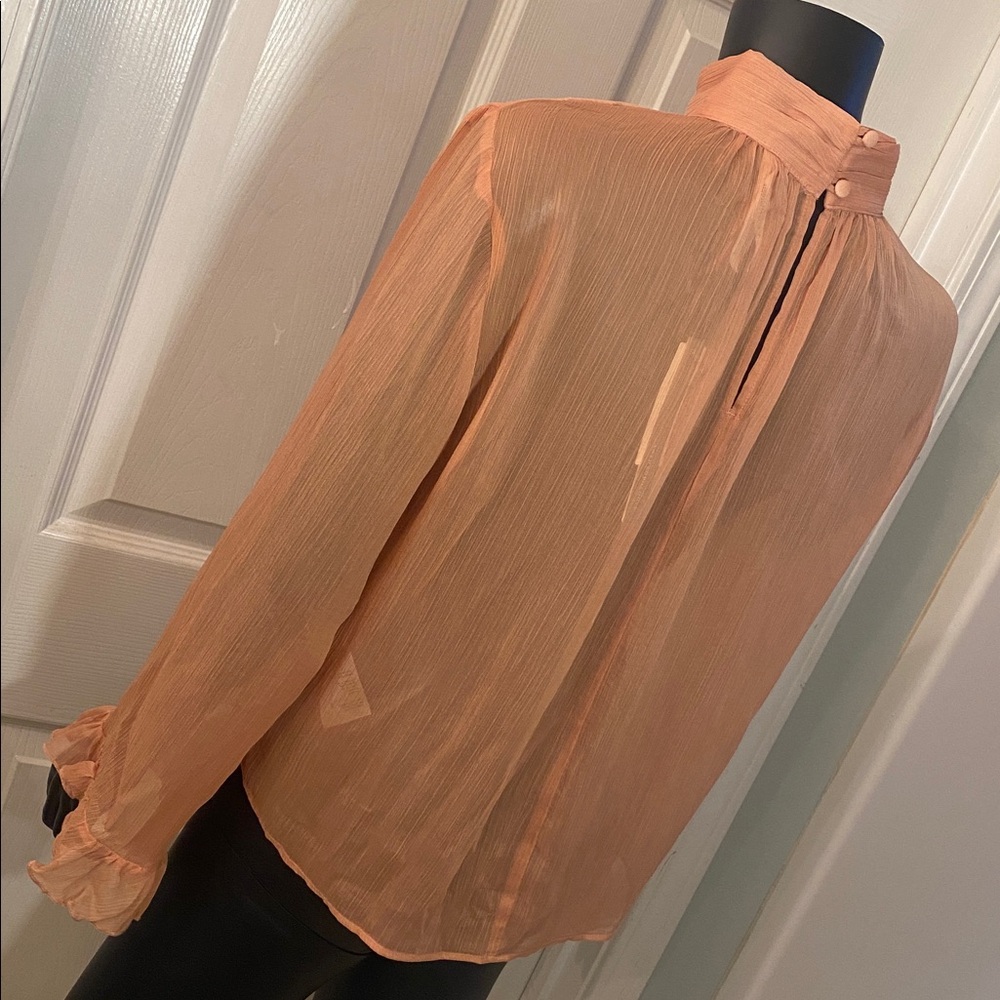 Anthropologie Sheer Terracotta Blouse Top NWTs - Picture 6 of 13